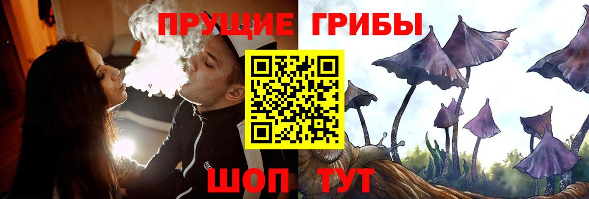 Галлюциногенные грибы прущие грибы  закладка  Богородск  Вход с VPN 